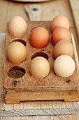Pale brown eggs in vintage, wooden egg rack