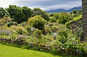 Sunny cottage garden with view of landscape