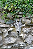 Original goat's head sculpture decorating stone wall covered with ivy in cottage garden