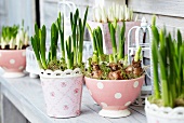 Spring flowers in various planters on wooden terrace table