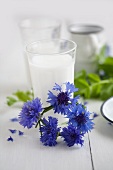 Circlet of cornflowers in front of glass of milk