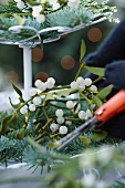 Creating a Christmas arrangement on a cake stand (fir branches and sprigs of mistletoe)