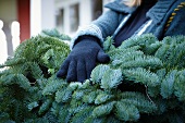 Person holding fir branches