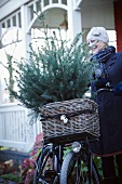 Christmas tree in bicycle basket
