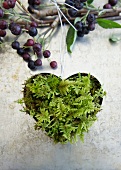 Heart-shaped cookie cutter filled with moss to make a hanging ornament and a branch with Aronia berries