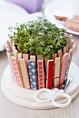 Pot of cress decorated with clothes pegs
