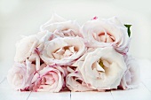A bouquet of pale pink roses on white painted wood boards