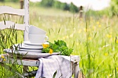Stacked plates and cups with flowers on a wooden chair in a field in springtime