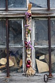 Red onions and flowering marjoram in glass bottles attached with wire to raffia braid hanging in front of old barn window