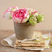 Roses in a flower pot on an old book