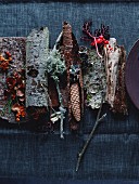 Forest finds: bark, pine cones & twigs