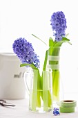 Two glasses decorated with masking tapes with two hyacinths inside