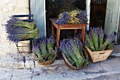 Bunches of lavender outside the entrance to a house