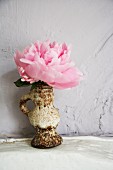 Pink peony in vintage vase against white wall
