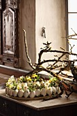 Gänseeier mit Frühlingsblumen dekoriert auf Tablett, vor Ästen auf Tisch und Fensterbank