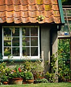 Aussenansicht eines Wohnhauses mit Blumenkübeln unter Sprossenfenster