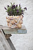 Flowering butterfly lavender in plant pot decorated with seashells