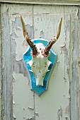 Decorative upcycling - antlers on wooden shield covered in printed wrapping paper on old wooden door with peeling paint