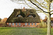 Thatched residential house (Mecklenburg-West Pomerania, Germany)