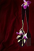 Fork and spoon with orchid flowers