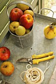 Apples, garden scissors & yarn on zinc tray table