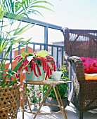 Plants and furniture on a balcony