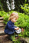 A little boy eating blueberries, Sweden