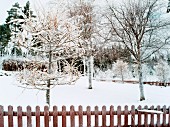 Snowy garden with wooden fence
