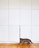weiße Schrankwand mit Türen und neugieriger Hund hinter Tür