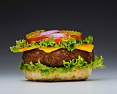 Cheeseburger mit fehlender Brötchenhälfte