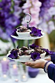 Chocolate muffins and purple flowers on cake stand