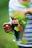 Girl holding mug with red currants twig