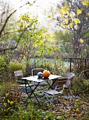 Herbstlicher Garten mit Gartenstühlen & Kürbissen auf Gartentisch