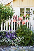 Flowering front garden