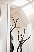 Decorative Branches under a Skylight