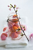 Easter arrangement of dyed eggs & sprig of cherry blossom