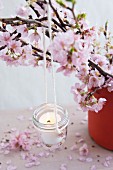 Candle lantern hanging from blossoming cherry branch