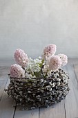 Hyacinth and allium flowers in basket of pussy willow catkins
