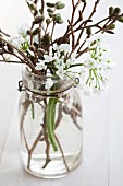 Swing-top preserving jar filled with alliums and alder twigs
