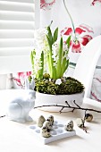 White potted hyacinths behind china rabbit and quail eggs in holder