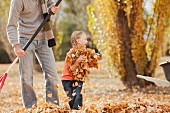 Caucasian father and daughter raking autumn leaves