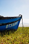 Detail of blue-painted boat on grassy shore next to beach