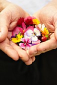 Edible flowers held in cupped hands