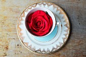 A red rose inside a blue and gold patterned vintage teacup