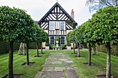 Avenue of trees lining paved garden path leaning to English half-timbered house