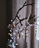 Cut glass decorations hanging from a branch