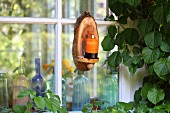 Candle sconce hand-crafted from slice of tree trunk on lattice window with vintage soda siphons on windowsill