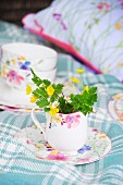 Wild flowers in floral milk jug on matching saucer on white and blue tartan blanket