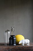 Still-life arrangement with white hippo ornament and scarab sculpture against black background