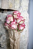 Bouquet of roses wrapped in paper